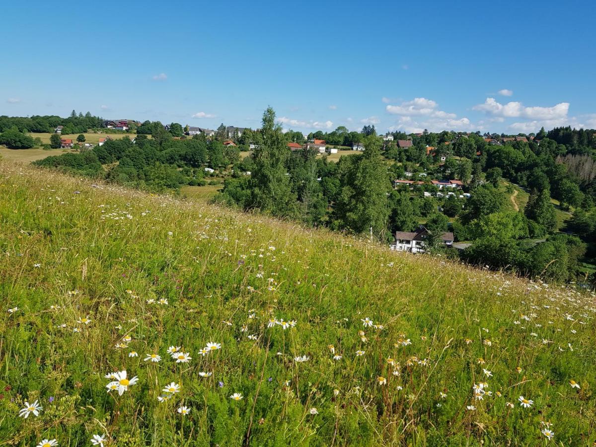 מלון Hohegeiß Haus Waldblick מראה חיצוני תמונה